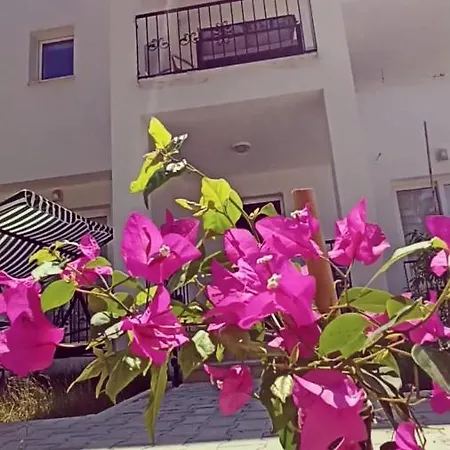 Bodrum Beyaz-Zambak Pansiyon * Bodrum
